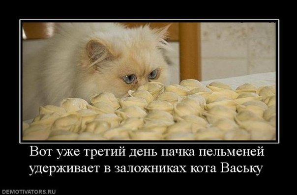 http://cs9515.vkontakte.ru/u13933596/107998061/x_2516e383.jpg